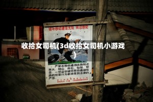 收拾女司机(3d收拾女司机小游戏)