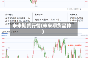 未来期货行情(未来期货品种)