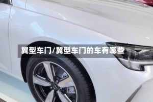翼型车门/翼型车门的车有哪些