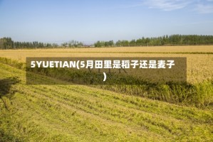 5YUETIAN(5月田里是稻子还是麦子)