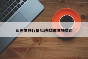 山东生铁行情/山东铸造生铁费用