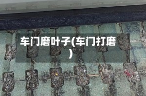 车门磨叶子(车门打磨)