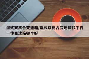 湿式双离合变速箱/湿式双离合变速箱和手自一体变速箱哪个好