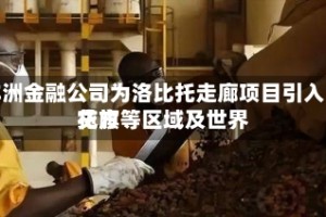 非洲金融公司为洛比托走廊项目引入花旗等区域及世界贷方