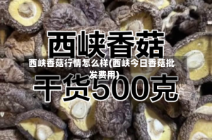 西峡香菇行情怎么样(西峡今日香菇批发费用)