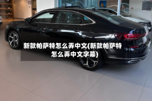 新款帕萨特怎么弄中文(新款帕萨特怎么弄中文字幕)