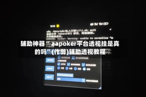 辅助神器“ aapoker平台透视挂是真的吗”(作弊)辅助透视教程