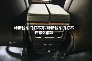 特斯拉车门打不开/特斯拉车门打不开怎么解决
