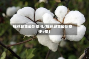 棉花现货最新费用.(棉花现货最新费用行情)