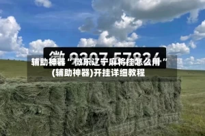 辅助神器“ 微乐辽宁麻将挂怎么用 ”(辅助神器)开挂详细教程