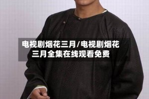 电视剧烟花三月/电视剧烟花三月全集在线观看免费