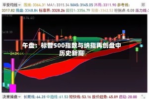 午盘：标普500指数与纳指再创盘中历史新高