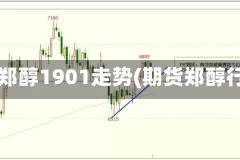 期货郑醇1901走势(期货郑醇行情)