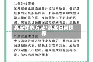 真皮保养方法/真皮日常保养