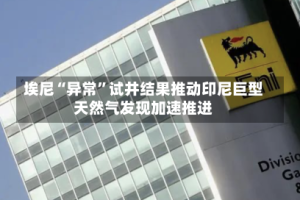 埃尼“异常”试井结果推动印尼巨型天然气发现加速推进