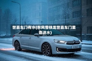 世嘉车门有水(东风雪铁龙世嘉车门里面进水)