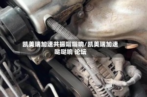 凯美瑞加速共振嗡嗡响/凯美瑞加速哒哒响 论坛