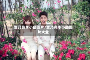 贾乃亮李小璐图片/贾乃亮李小璐图片大全