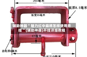 辅助神器“ 魅力红中麻将怎样使用开挂 ”(辅助神器)开挂详细教程