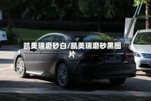 凯美瑞磨砂白/凯美瑞磨砂黑图片