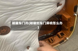 颠簸车门开(颠簸时车门异响怎么办)