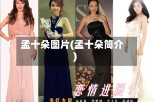 孟十朵图片(孟十朵简介)