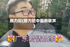 颜力妃(颜力妃中国新歌声)