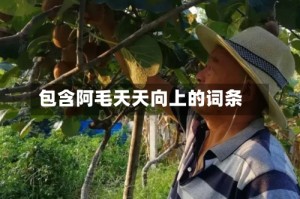 包含阿毛天天向上的词条
