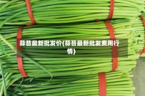 蒜苔最新批发价(蒜苔最新批发费用行情)