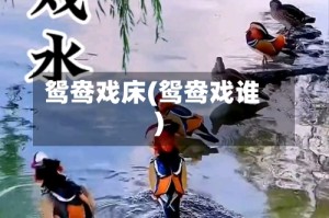 鸳鸯戏床(鸳鸯戏谁)