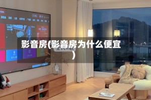 影音房(影音房为什么便宜)