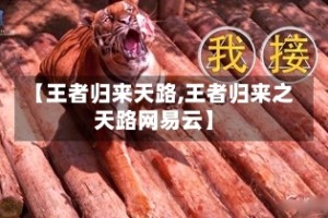 【王者归来天路,王者归来之天路网易云】