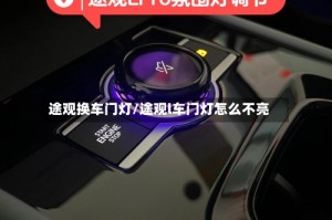 途观换车门灯/途观l车门灯怎么不亮