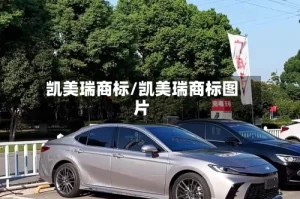 凯美瑞商标/凯美瑞商标图片