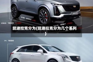 凯迪拉克分为(凯迪拉克分为几个系列)