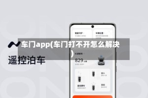 车门app(车门打不开怎么解决)