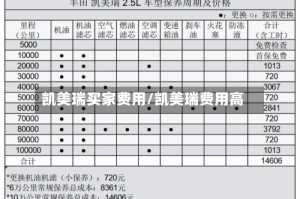 凯美瑞买家费用/凯美瑞费用高