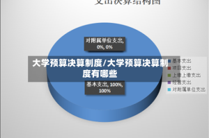 大学预算决算制度/大学预算决算制度有哪些