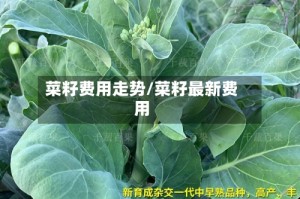 菜籽费用走势/菜籽最新费用