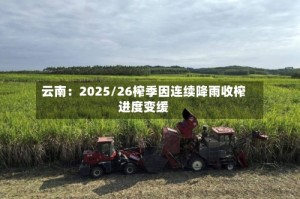 云南：2025/26榨季因连续降雨收榨进度变缓