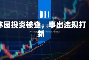林园投资被查，事出违规打新