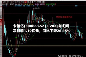 卡倍亿(300863.SZ)：2025年归母净利润1.19亿元，同比下降26.15%
