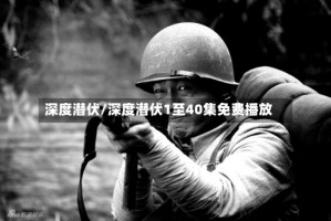 深度潜伏/深度潜伏1至40集免费播放