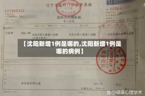 【沈阳新增1例是哪的,沈阳新增1例是哪的病例】