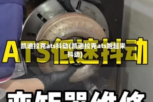 凯迪拉克ats抖动(凯迪拉克ats跑起来抖动)