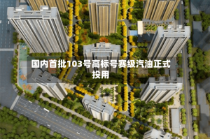 国内首批103号高标号赛级汽油正式投用