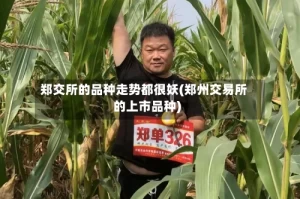 郑交所的品种走势都很妖(郑州交易所的上市品种)