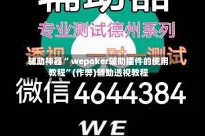 辅助神器“ wepoker辅助插件的使用教程”(作弊)辅助透视教程