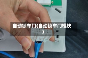 自动锁车门(自动锁车门模块)