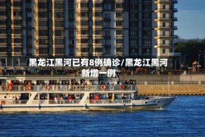 黑龙江黑河已有8例确诊/黑龙江黑河新增一例